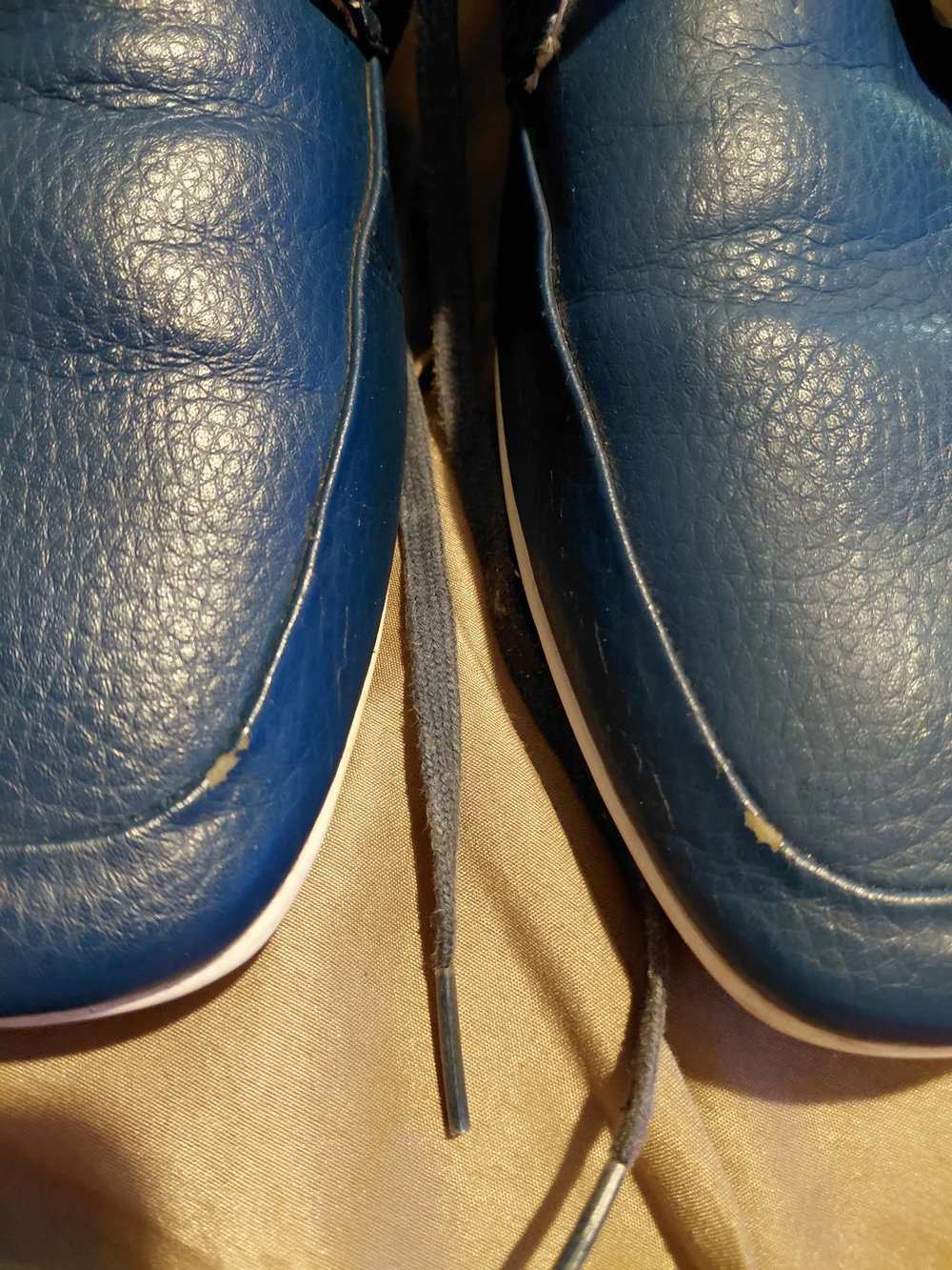 Carlo Marandi Men's Blue Casual Oxford Lace-Up Shoes